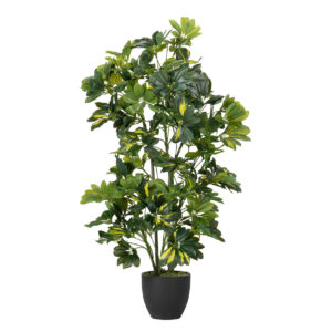 PLANTA SCHEFFLERA ARBORICOLA 50x50x95 CM