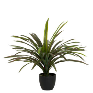 PLANTA YUCCA CON MACETA 58x58x58 CM