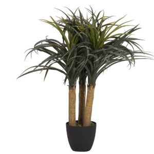 PLANTA NOLINA RECURVATA CON MACETA 60x60x75 CM
