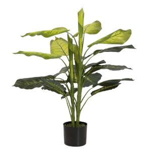 PLANTA DIEFFENBACHIA CON MACETA 60x60x100 CM