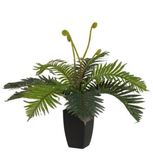 PLANTA PALMERA CON MACETA 40x40x55 CM