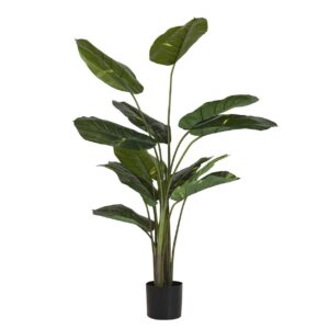 PLANTA RHADHIDOPHORA AUREUM CON MACETA 80x80x160CM