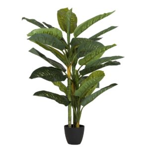 PLANTA DIEFFENBACHIA AMOENA CON MACETA 65x65x135CM