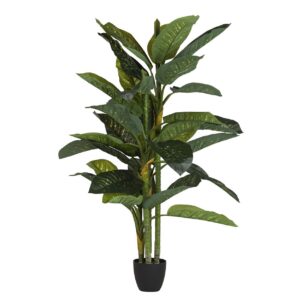 PLANTA DIEFFENBACHIA AMOENA CON MACETA 70x70x160CM