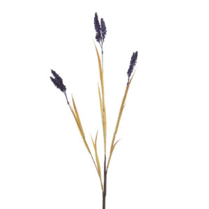 RAMA JUNCO 25x25x100 CM