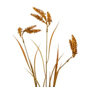 RAMA PLUMERO 25x25x99 CM