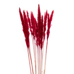 FLORES PAMPAS BURDEOS NATURAL 90 CM