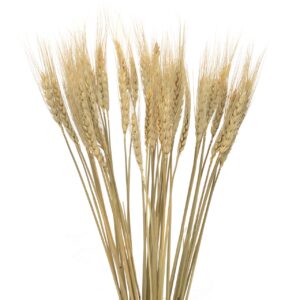 FLORES ESPIGAS NATURAL 65 CM