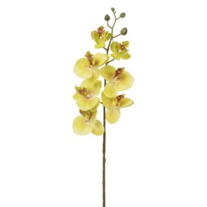 FLOR ORQUIDEA POLIESTER VERDE 15x15x76 CM