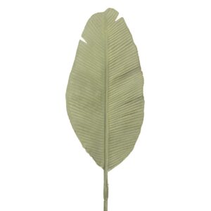 HOJA POLIESTER VERDE 25x1x91 CM