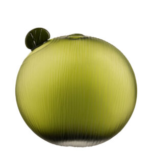 JARRON DECORACION CRISTAL 24x9x24 CM