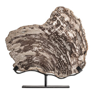 FIGURA DECORATIVA AUREA