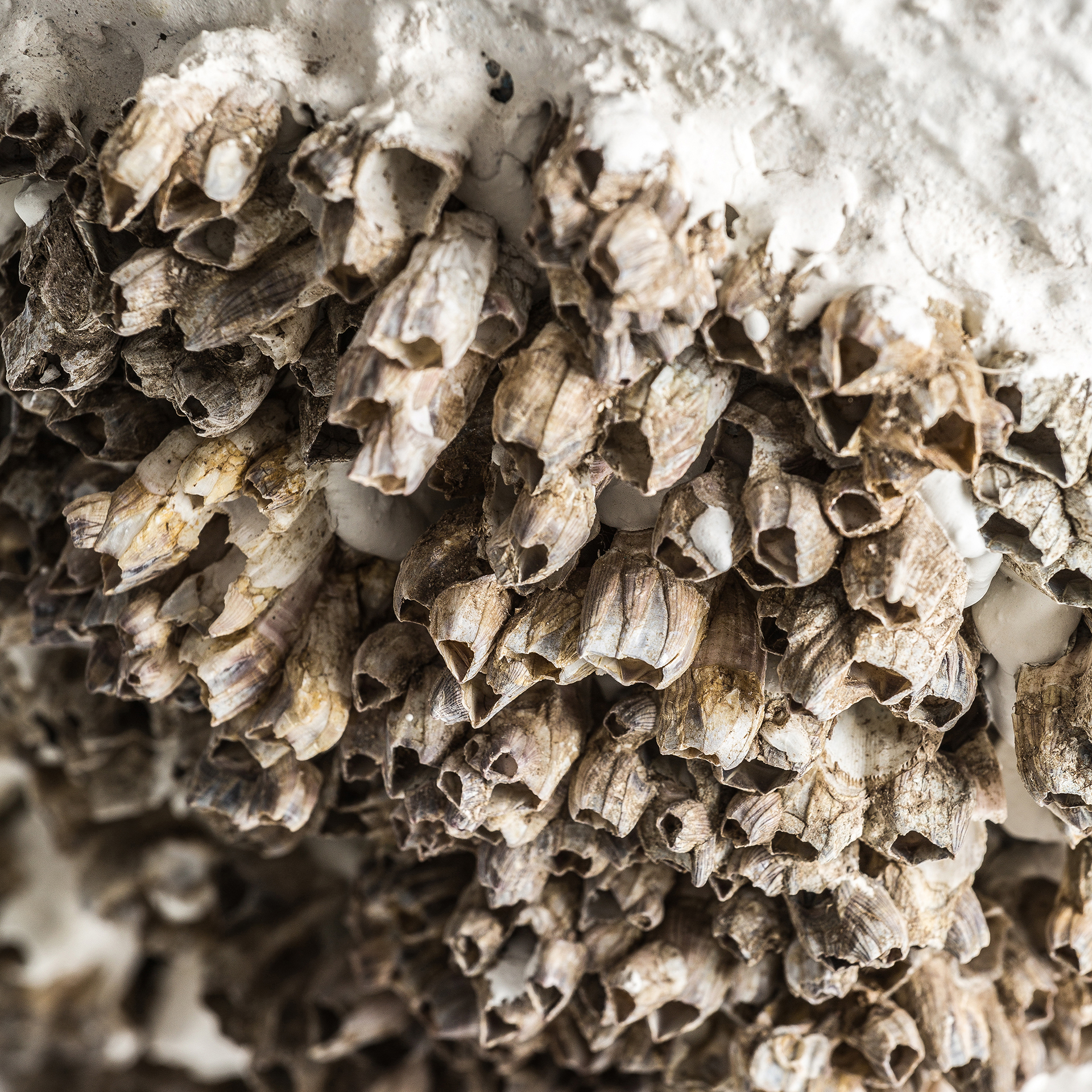 lampara-de-sobremesa-thora-1