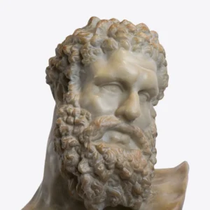 Cabeza grande de Hércules 5