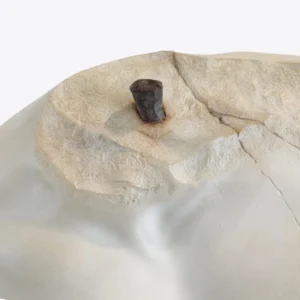 torso tiberio grande 9