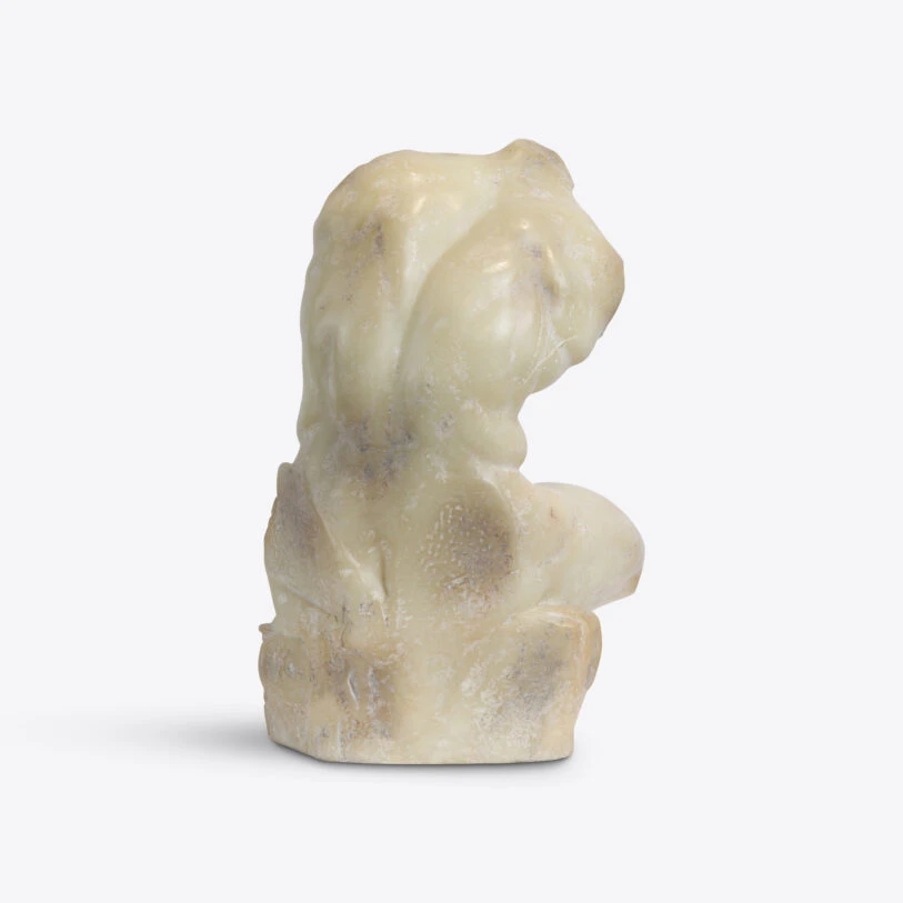 Torso de Belvedere 5 Torso de Belvedere 5