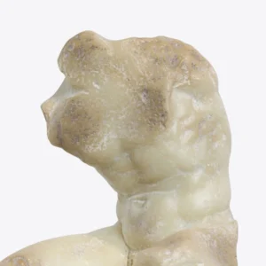 Torso de Belvedere 7