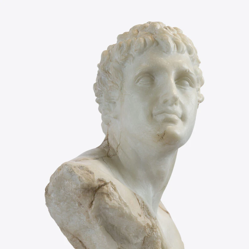 busto apolo joven 12