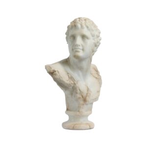 busto apolo joven