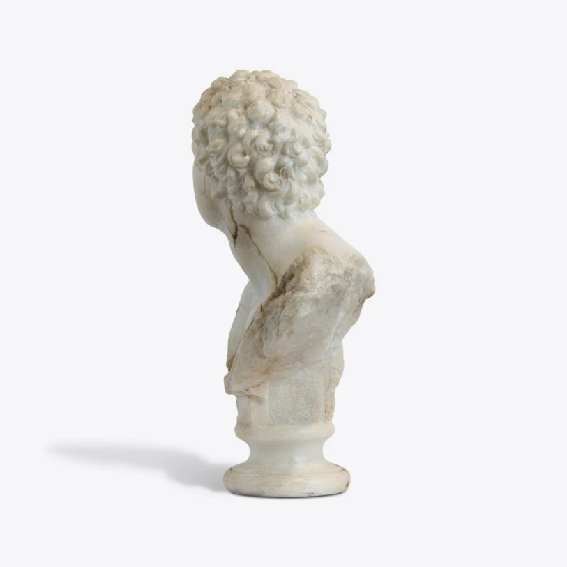 busto apolo joven 5