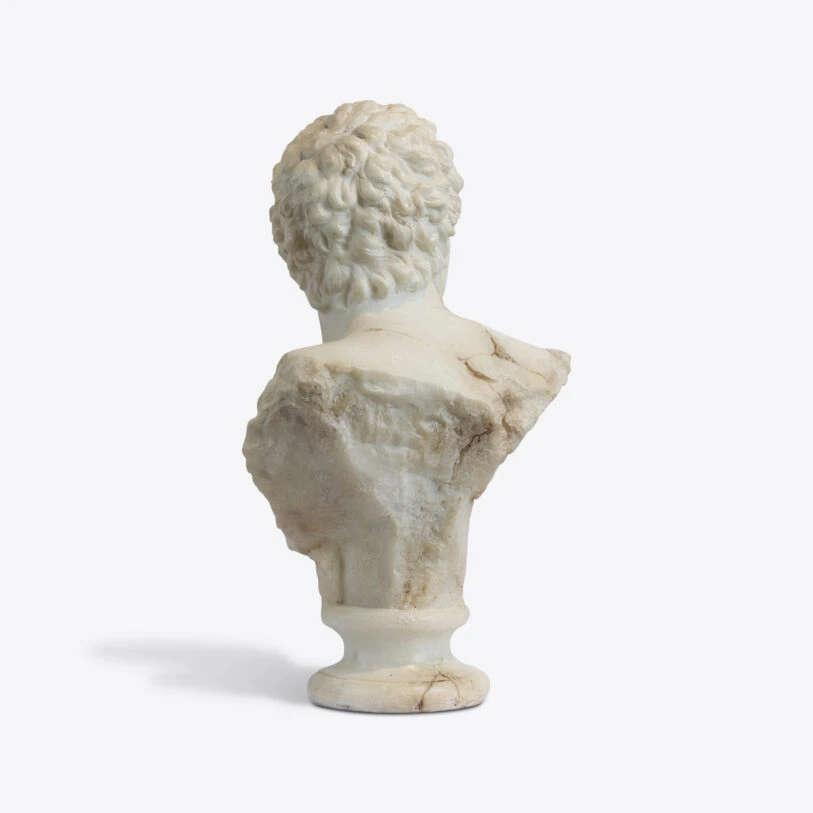 busto apolo joven 6