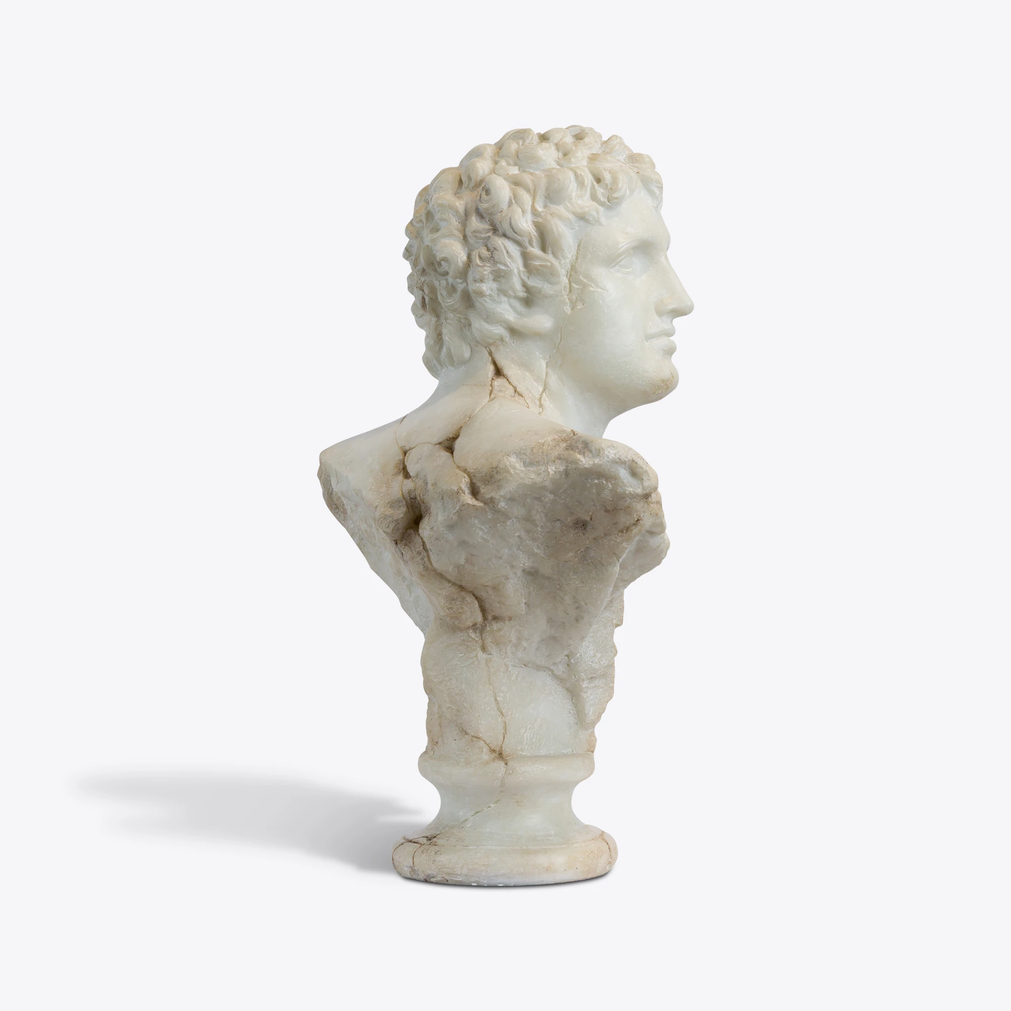 busto apolo joven 8