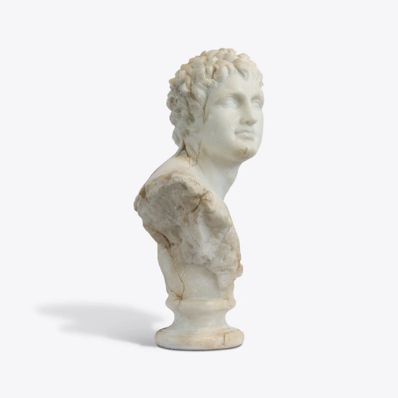 busto apolo joven 9
