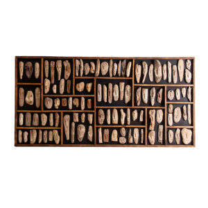 PANEL DECORATIVO FÓSILES