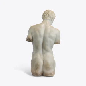 torso apolo con cabeza 5