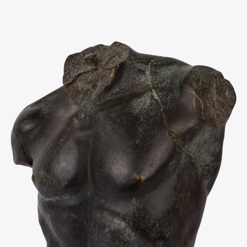 torso maximiliano grande bronce 5 torso maximiliano grande bronce 5