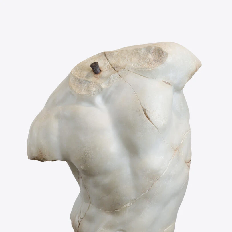 torso tiberio grande 6 torso tiberio grande 6