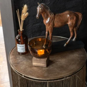 Caballo Ranger 1