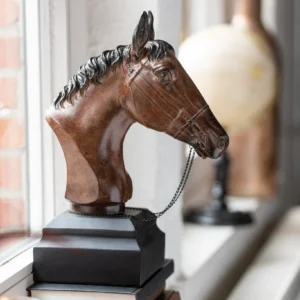 Cabeza de caballo Ranger 1