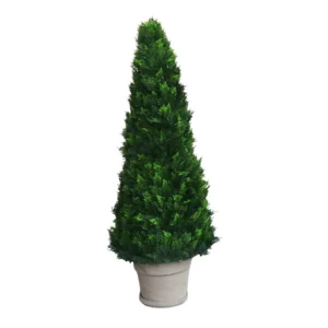 Ciprés 125 cm UVR