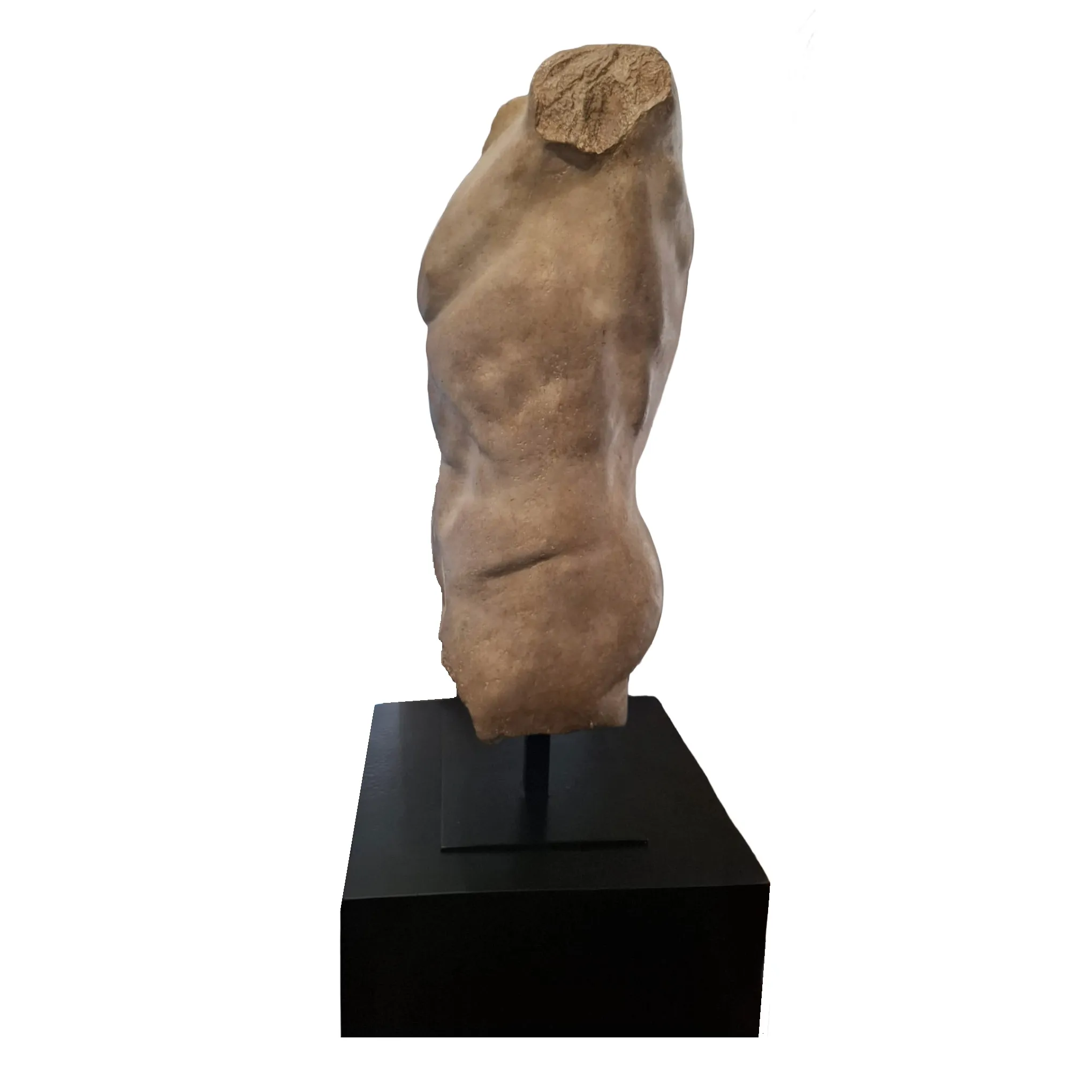 Torso Etude griego 2 Torso Etude griego 2