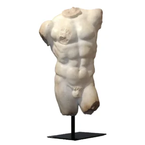 Torso Gran Gladiator Exclusive