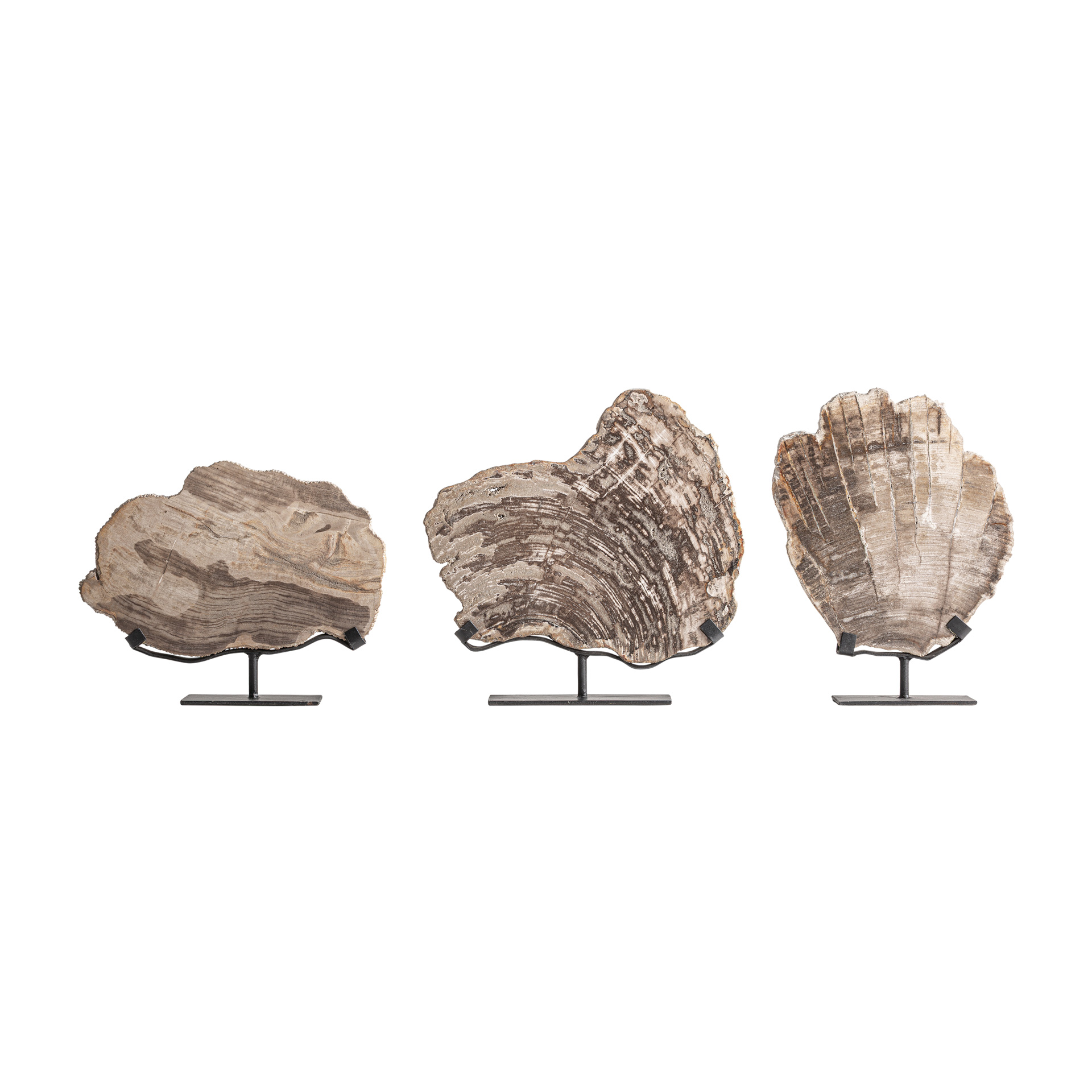 figura-decorativa-aurea-1