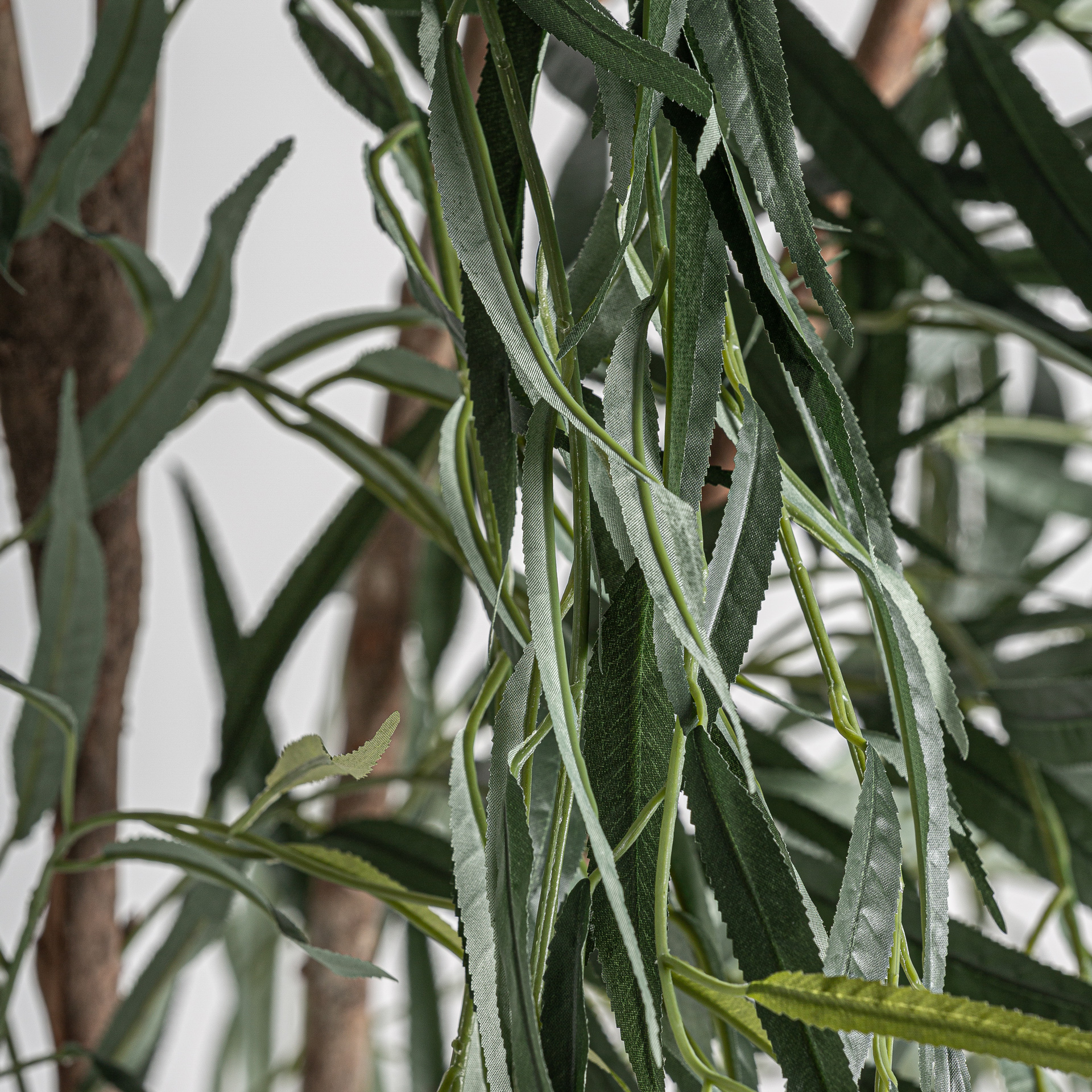 planta-sauce-1