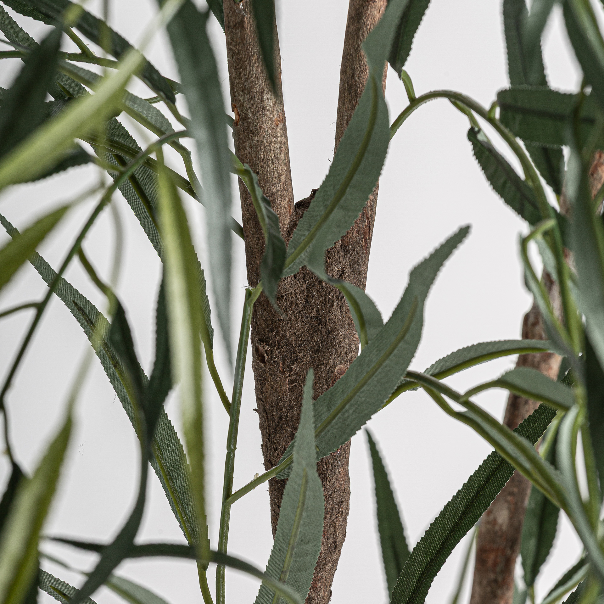 planta-sauce-2