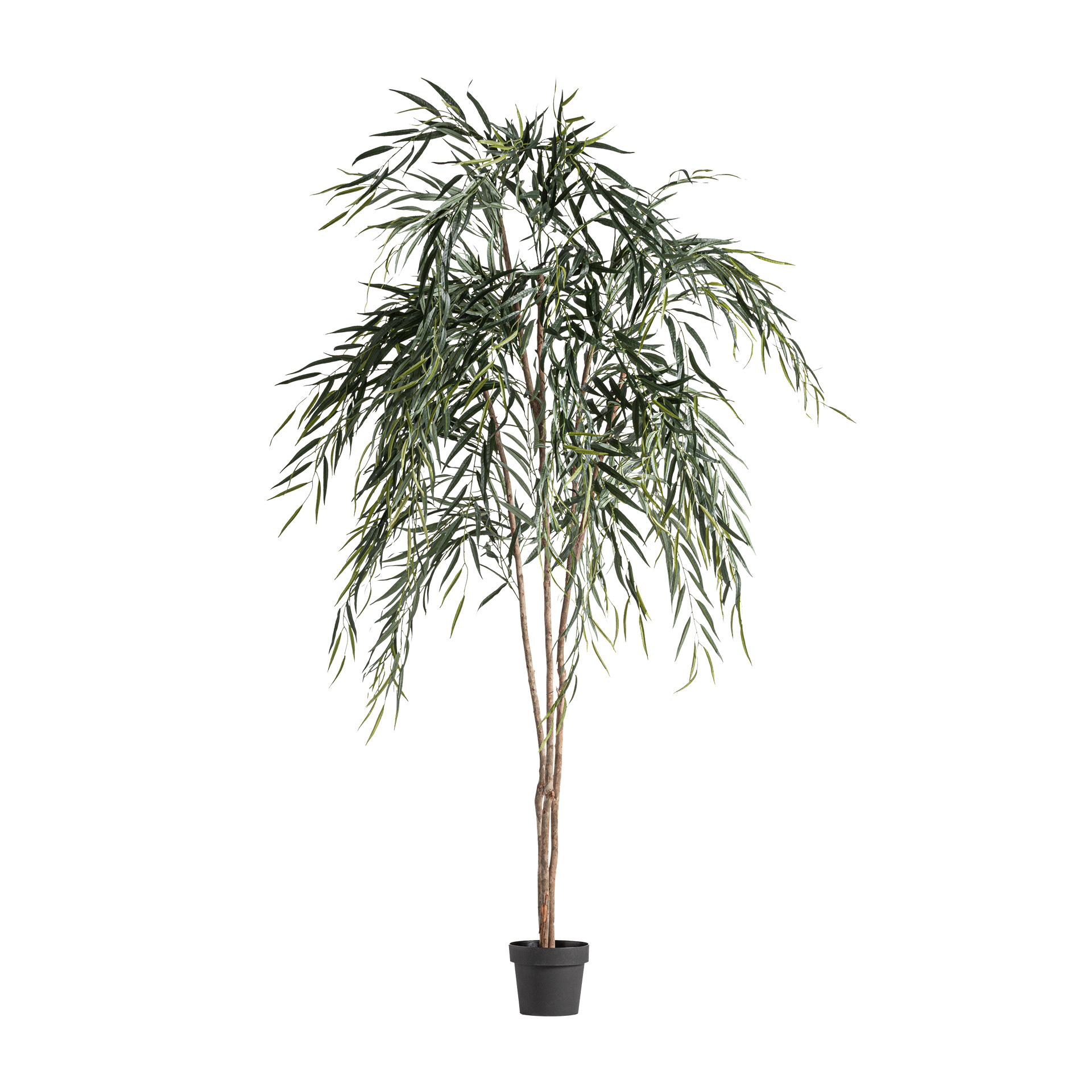 PLANTA SAUCE PLANTA SAUCE
