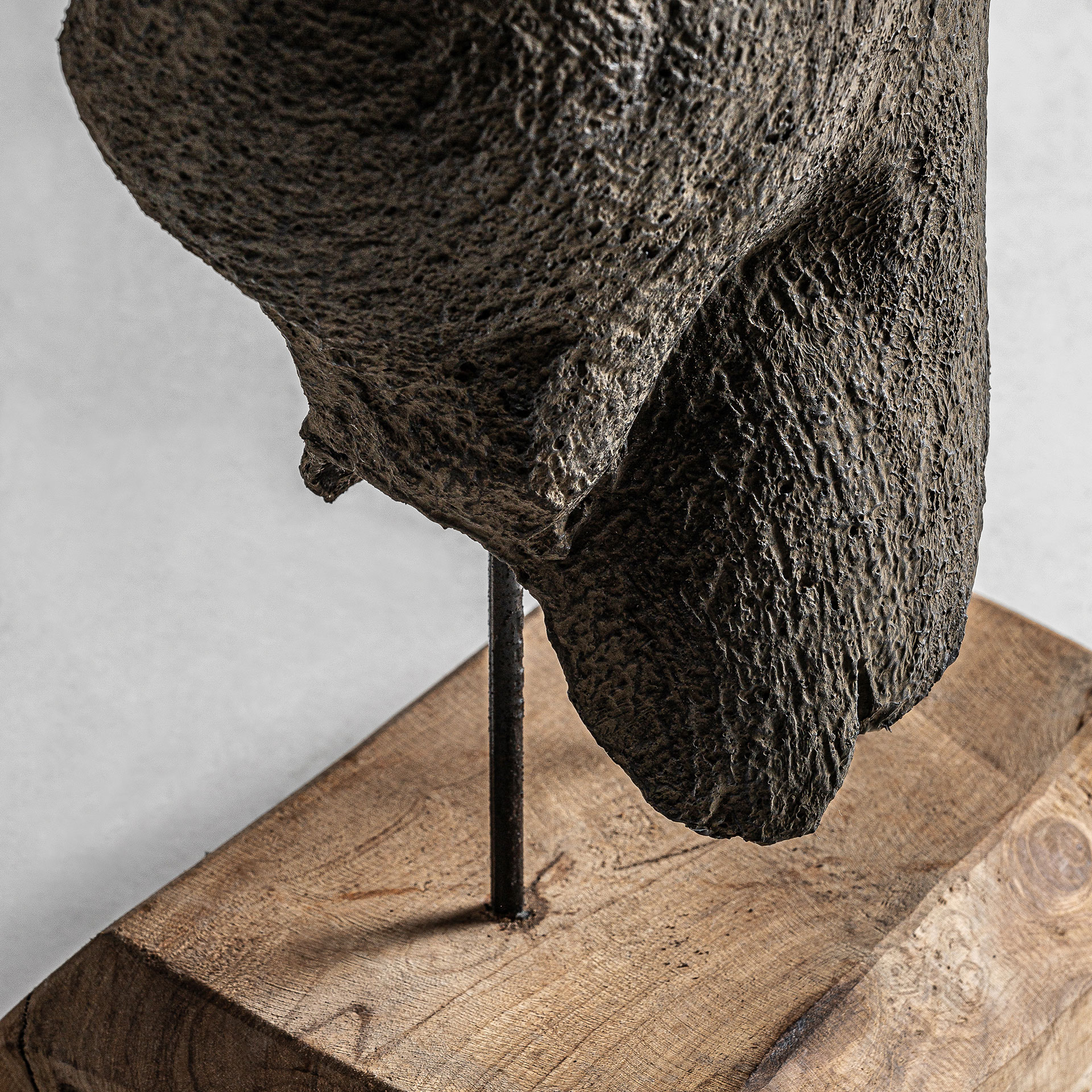 BUSTO MAN BUSTO MAN