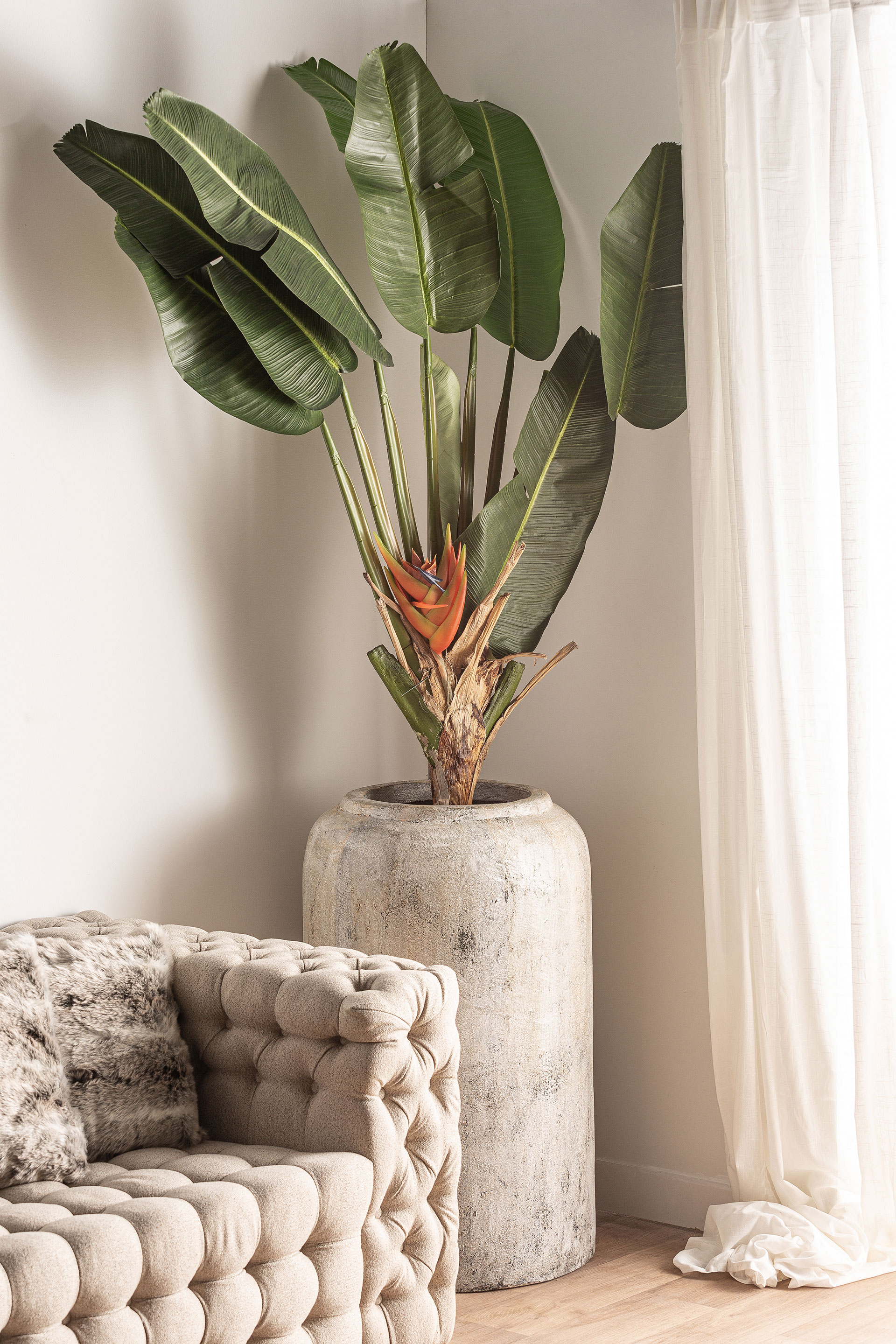 planta-paradise-4